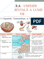 Organite