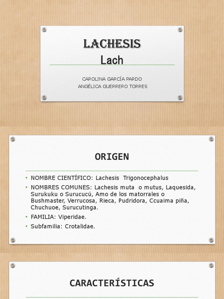 Lachesis | Especialidades Medicas | Medicina