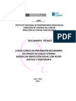 Documento Técnico Ivaa PDF