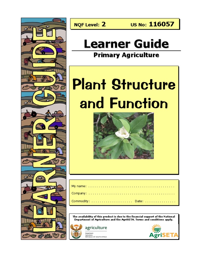 Understanding Plant Structure and Function A Learner's Guide PDF