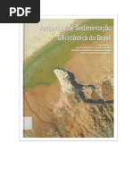 Livro Ambientes de Sedimentação Siliciclástica Do Brasil
