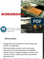 10 Bioremediasi 2017 PDF