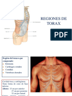 Torax Abdomen Pelvis