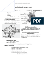 262875752-19-Drenaje-Linfatico-de-Cabeza-y-Cuello.pdf