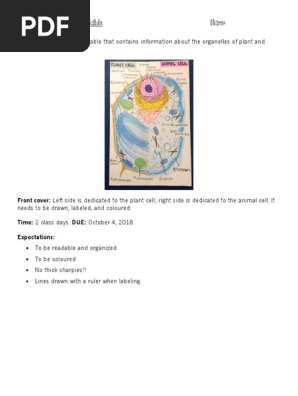 cell foldable