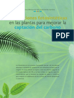 AdaptacionesFotosinteticas.pdf