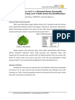 Daun Sirih Piper Betle L Informasi Botani Etnomedik Fitokimia Farmakologi Serta Teknik Isolasi Dan Identifikasinya PDF
