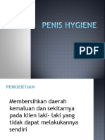 Penis Hygiene