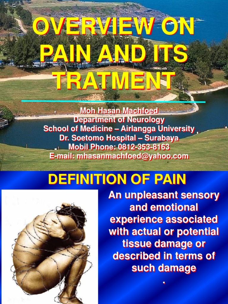 Understanding Pain and Its Treatment | PDF | Stimulus (Physiology) | Pain