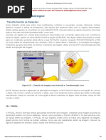 Estudando_ Webdesigner _ Prime Cursos15