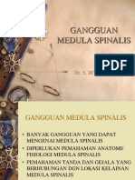 Gangguan Pada Medula Spinalis