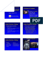 DeBoer Douglas Pyoderma VIFK 2008 PDF