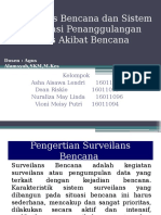 SURVEILANS BENCANA