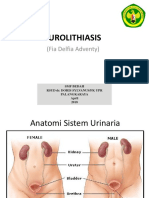 Urolithiasis (Batu Saluran Kemih)