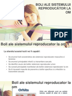 Bio Boli