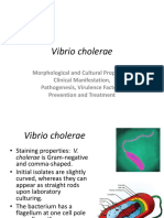 Lecture 2. Vibrio Cholerae 1.2
