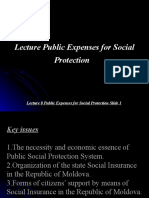 Lecture Public Expenses For Social Protection