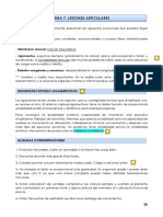 Tema 7. Lesiones Articulares PDF