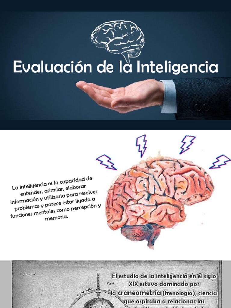 Evaluacion de La Inteligencia | Descargar gratis PDF | Cociente de ...