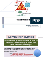 Combustion Quimica