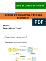 Posgrado Binacional en Ciencias de La Visión