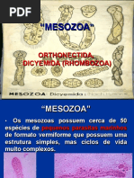9 Apresentação Mesozoa