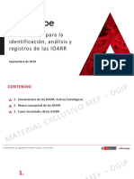 Lineamientos IOARR VF PDF PDF