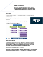 Analisis y Determinacion Del Tamano Opti