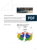 Tipos de Spinnakers