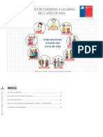 Matriz de Cuidados A Lo Largo Del Curso de Vida 2019