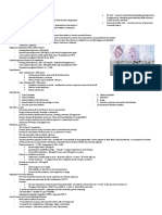 Diabetes Mellitus Pathology