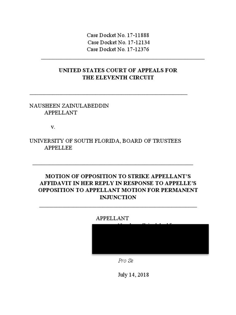 Pro Se Mediation Brief Law 