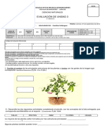 Evaluación Ciencias Unidad Plantas