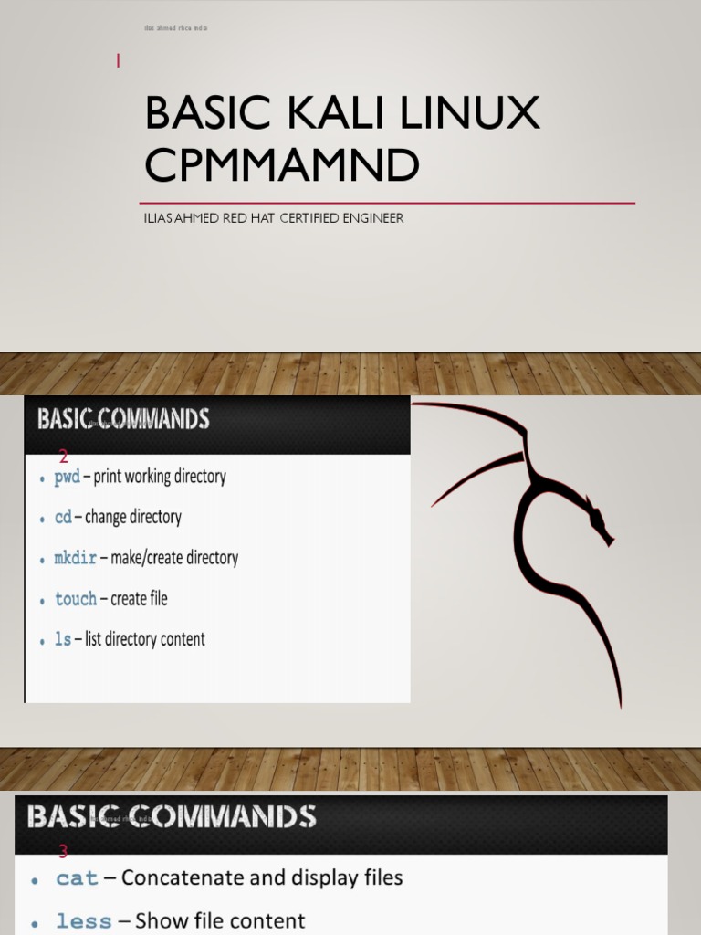 Basic Kali Linux Cpmmamnd | PDF