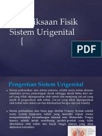 Pemeriksaan Fisik Sistem Urigenital