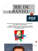 Serie de Craneo