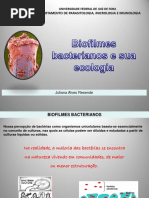 Biofilmes.pdf
