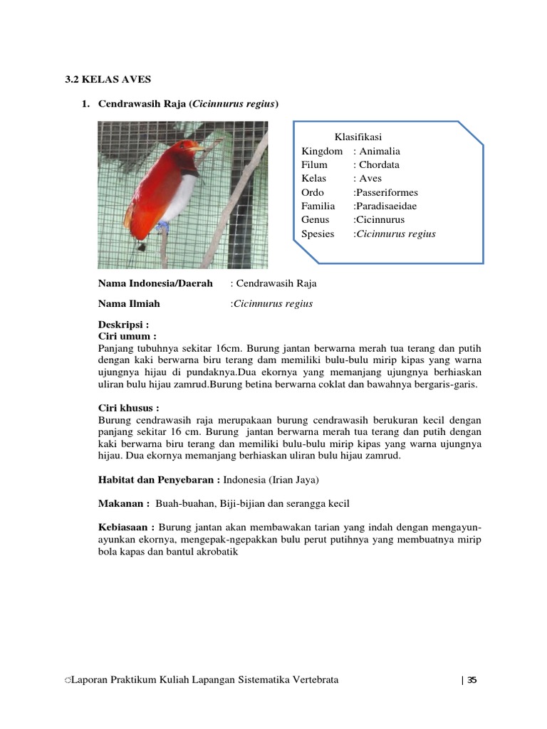 Reptil 2