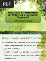 Translokasi Pada Tumbuhan Pdf