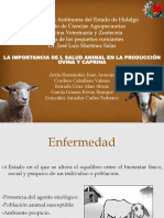 La Importancia de l Salud Animal en La Producción Ovina y Caprina