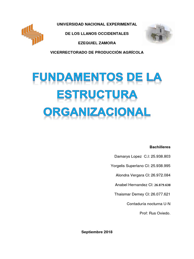 Fundamentos de La Estructura Organizacional | PDF | Metadatos | Presupuesto