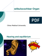 The Vestibulocochlear Organ: China Medical University
