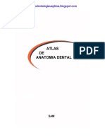 Atlas de Anatomia Dental.pdf