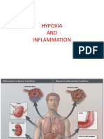 Hypoxia AND Inflammation
