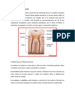 ESTRUCTURA DEL DIENTE.docx