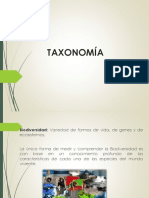 Taxonomía