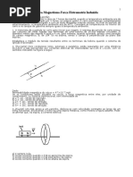 2042-Física-Magnetismo-Força eletromotriz induzida.doc