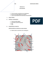 PRACTICA N 2 Odontologia Forense