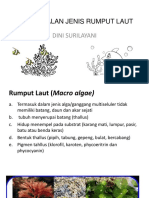 Pengenalan Jenis Rumput Laut