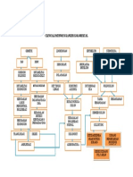 clinical pathway ca colorektal